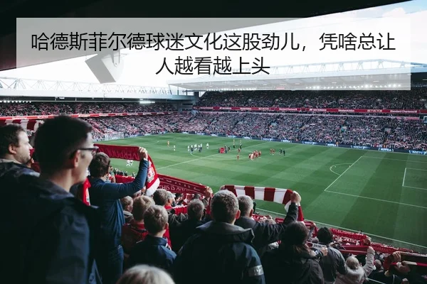 哈德斯菲尔德球迷文化这股劲儿，凭啥总让人越看越上头