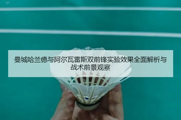 曼城哈兰德与阿尔瓦雷斯双前锋实验效果全面解析与战术前景观察