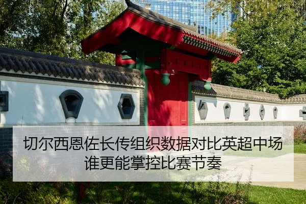 qie-er-xi-en-zuo-zhang-chuan-zu-zhi-shu-ju-dui-bi-ying-chao-zhong-chang-shui-geng-neng-zhang-kong-bi-sai-jie-zou-2-539.jpg