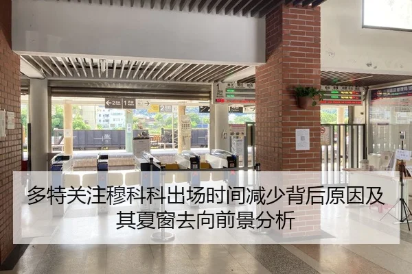 多特关注穆科科出场时间减少背后原因及其夏窗去向前景分析