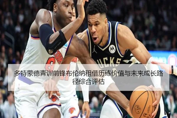多特蒙德青训前锋布伦纳租借历练价值与未来成长路径综合评估
