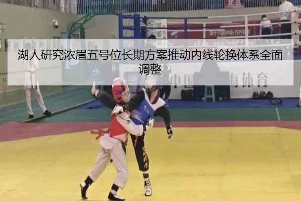 湖人研究浓眉五号位长期方案推动内线轮换体系全面调整